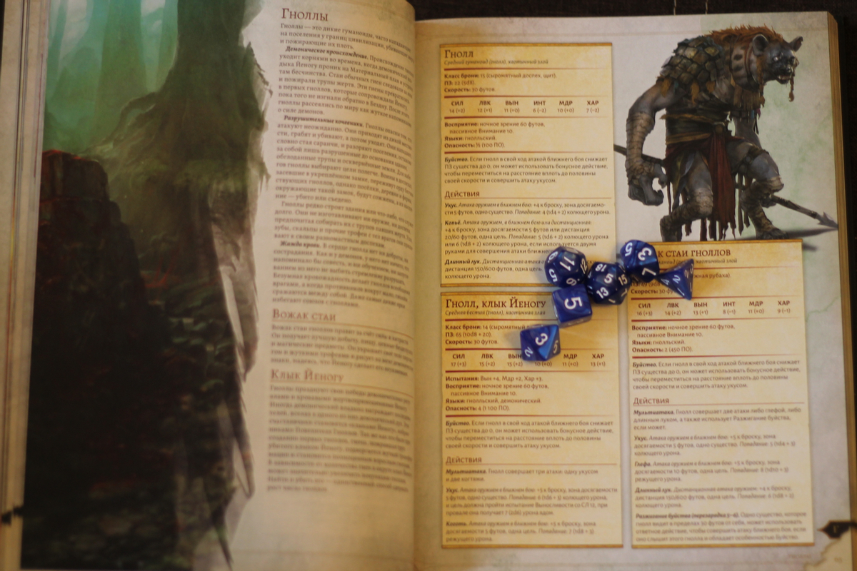 Обзор Набора новичка и базового комплекта книг для Dungeons & Dragons 5 редакции