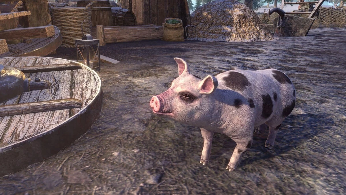 Награды за ежедневный вход в The Elder Scrolls Online в мае Награды за ежедневный вход в The Elder Scrolls Online в мае