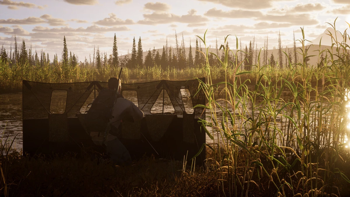 Гиперреалистичный симулятор охоты Way of the Hunter 2 выйдет из раннего доступа 29 сентября