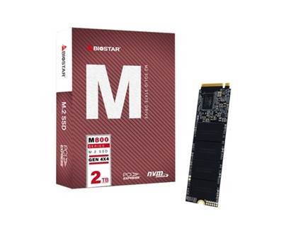 Biostar представили SSD накопители серии M800, для геймеров и создателей контента