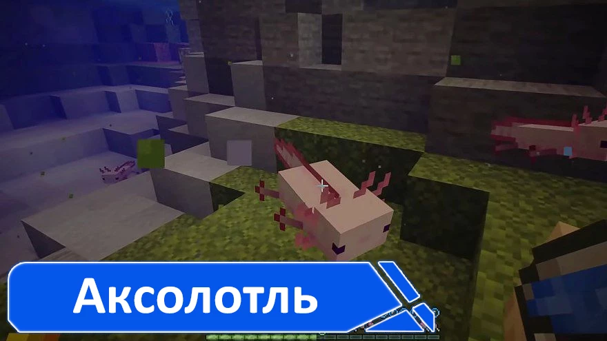 Скачать Самую Последнюю Версию Майнкрафт ПЕ Скачать Самую Последнюю Версию Майнкрафт ПЕ