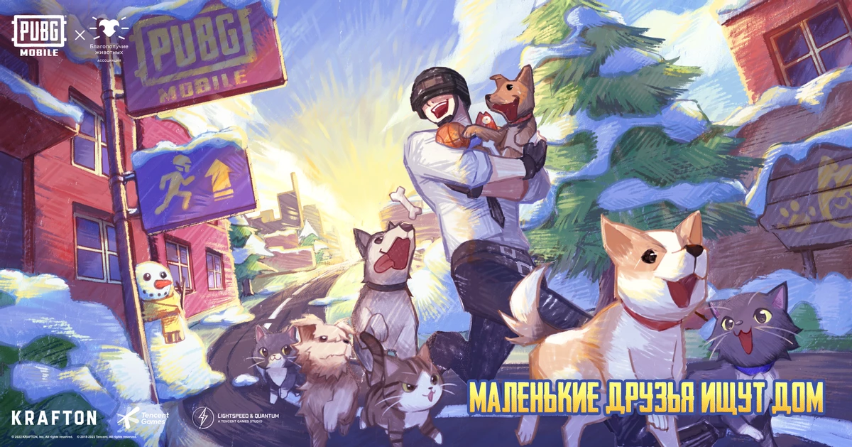 PUBG MOBILE помогает найти новый дом для животных