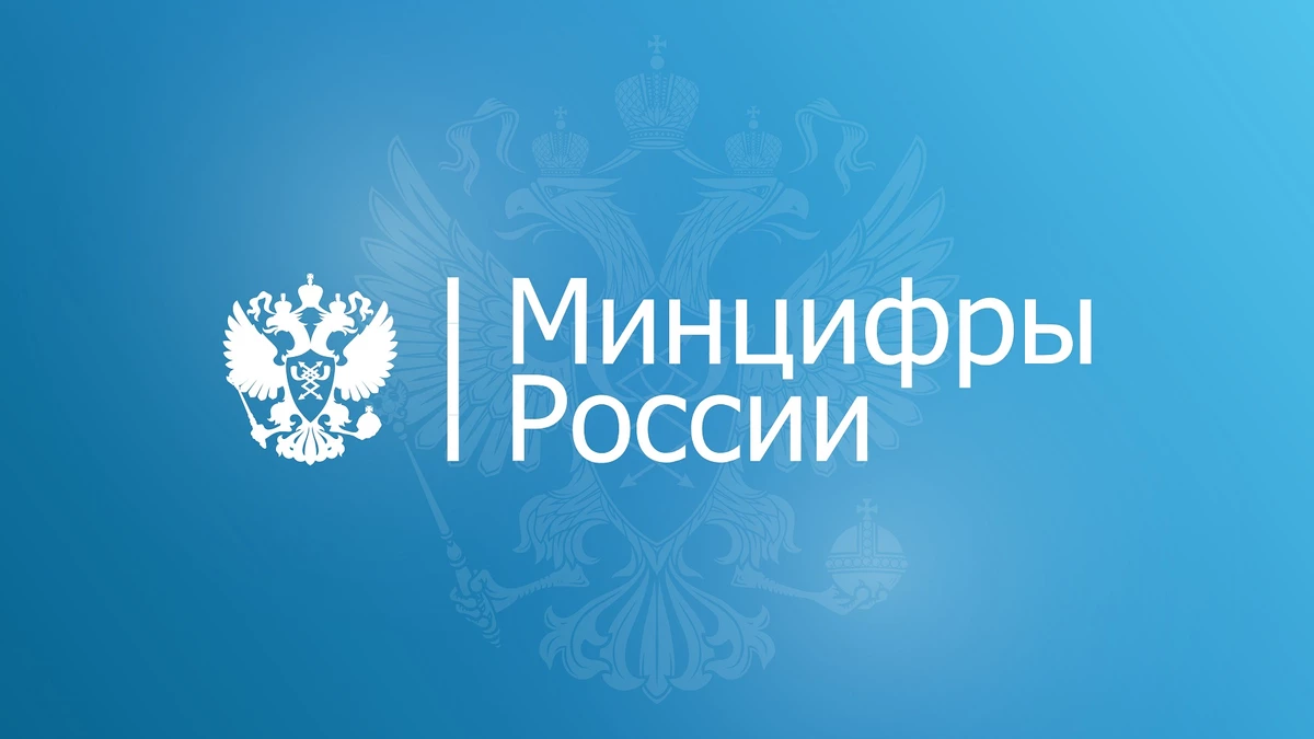 Российские компании, возможно, будут получать патенты на каперство иностранного софта от Минцифиры РФ