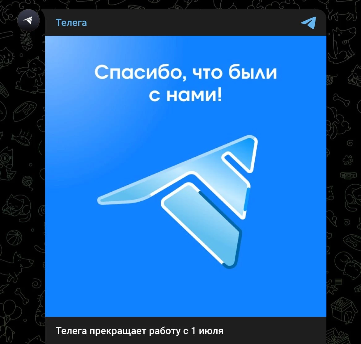 Telega приехала: сегодня этот мессенджер прекратил свое существование Telega приехала: сегодня этот мессенджер прекратил свое существование