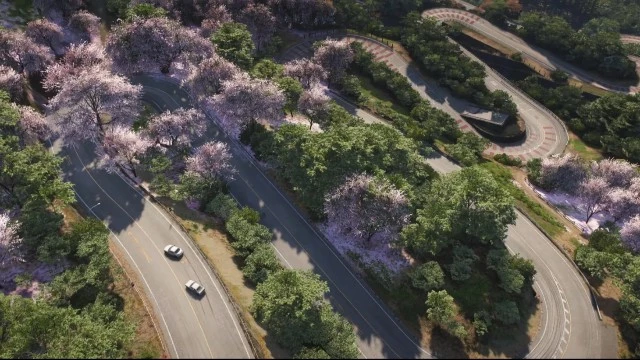 Forza Horizon 6 еще раз вернула себе лидерство в чарте продажи Steam