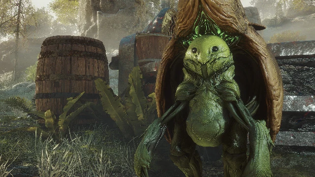Soulframe идет на консоли: подробности грядущего релиза