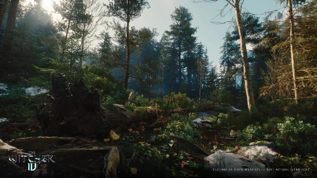 Команда The Witcher 4 дала пояснения на скепсис игроков в отношении технодемо  The Witcher 4