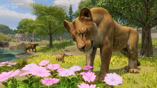 Создатели Planet Zoo 2 показали львов и раскрыли секреты создания животных