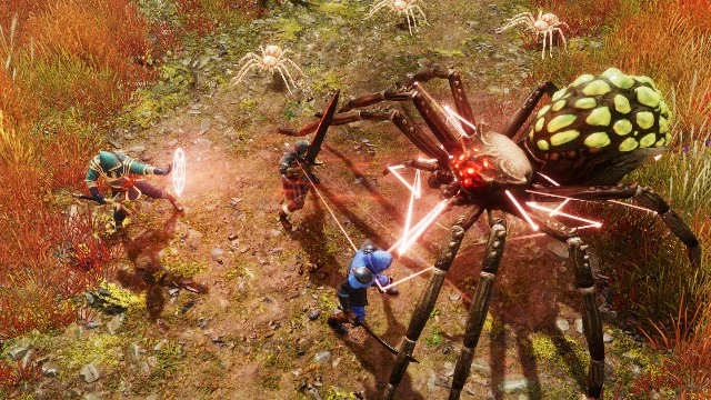 Команда Fractured Online ответила на вопросы игроков, касающиеся целевой аудитории, косметики и тестирования, 