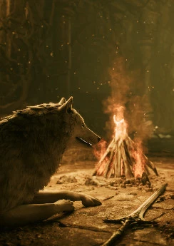 Stray Dog: nobody cares