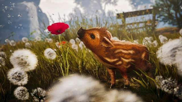 Путешествие кабанчика Бориса: состоялся релиз Adorable Adventures