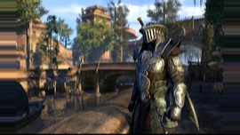 The Elder Scrolls Online - Обзор новой главы "Черный лес" на грядущей трансляции