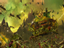 Total War: Warhammer III - особенности фракции Нургл