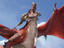 Подробности о World of Warcraft: Dragonflight
