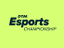 RaceRoom - Открытие международного чемпионата DTM Esports Championship 2020