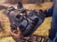 Fallout 76 - Тодд Говард был готов к критике в адрес команды