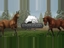 Unbridled: That Horse Game