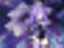 Neptunia ReVerse (Go! Go! 5 Jigen Game Neptune: re★Verse)