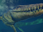Демонстрация нового вида динозавров в предстоящем симуляторе Jurassic World Evolution 2 