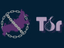 Пока провайдеры препятствуют доступу к сети Tor, Роскомнадзор заблокировал официальный сайт