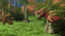 Для Dungeons & Dragons Online вышло дополнение Isle of Dread