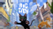 Приключенческая игра Little Kitty, Big City анонсирована для пользователей ПК
