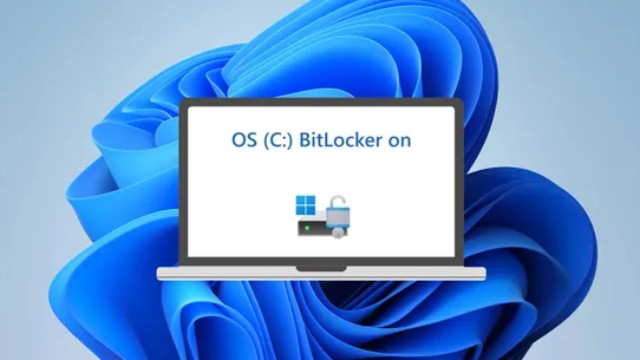 Windows 11 24H2 включит шифрование BitLocker для всех