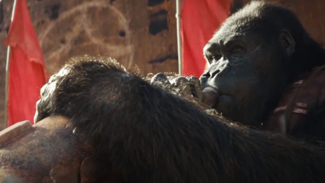 Тизер-трейлер «глобального феномена» — фильма «Планета обезьян: Новое царство»
