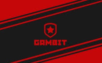 Gambit Esports готовится к изменениям в своем составе по Dota 2
