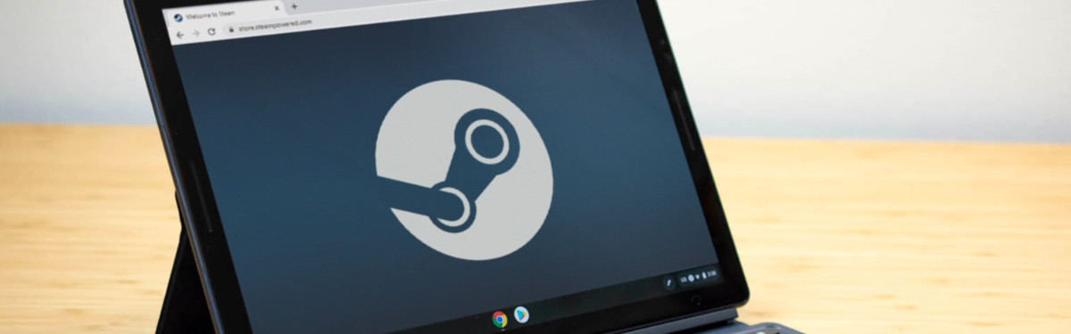 Steam вскоре появится на хромбуках Samsung Steam вскоре появится на хромбуках Samsung