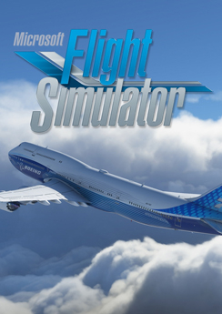 Microsoft Flight Simulator