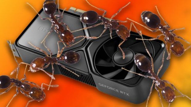 В компьютерах заводятся муравьи, которые едят термопасту