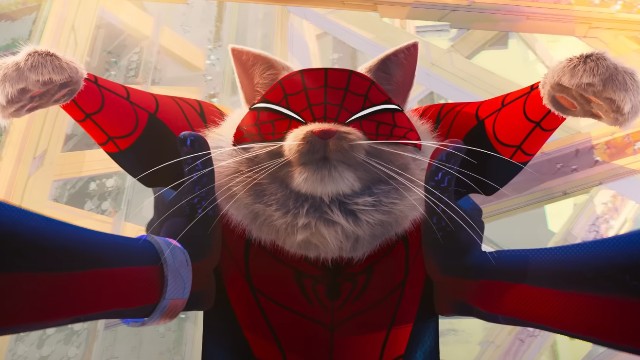 Кот-Паук украл третий трейлер «Человека-Паука: Паутина вселенных»