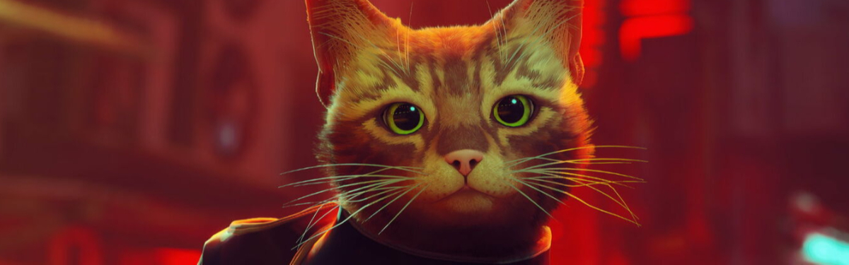 Обзор Stray — приключения котика в постапокалипсисе