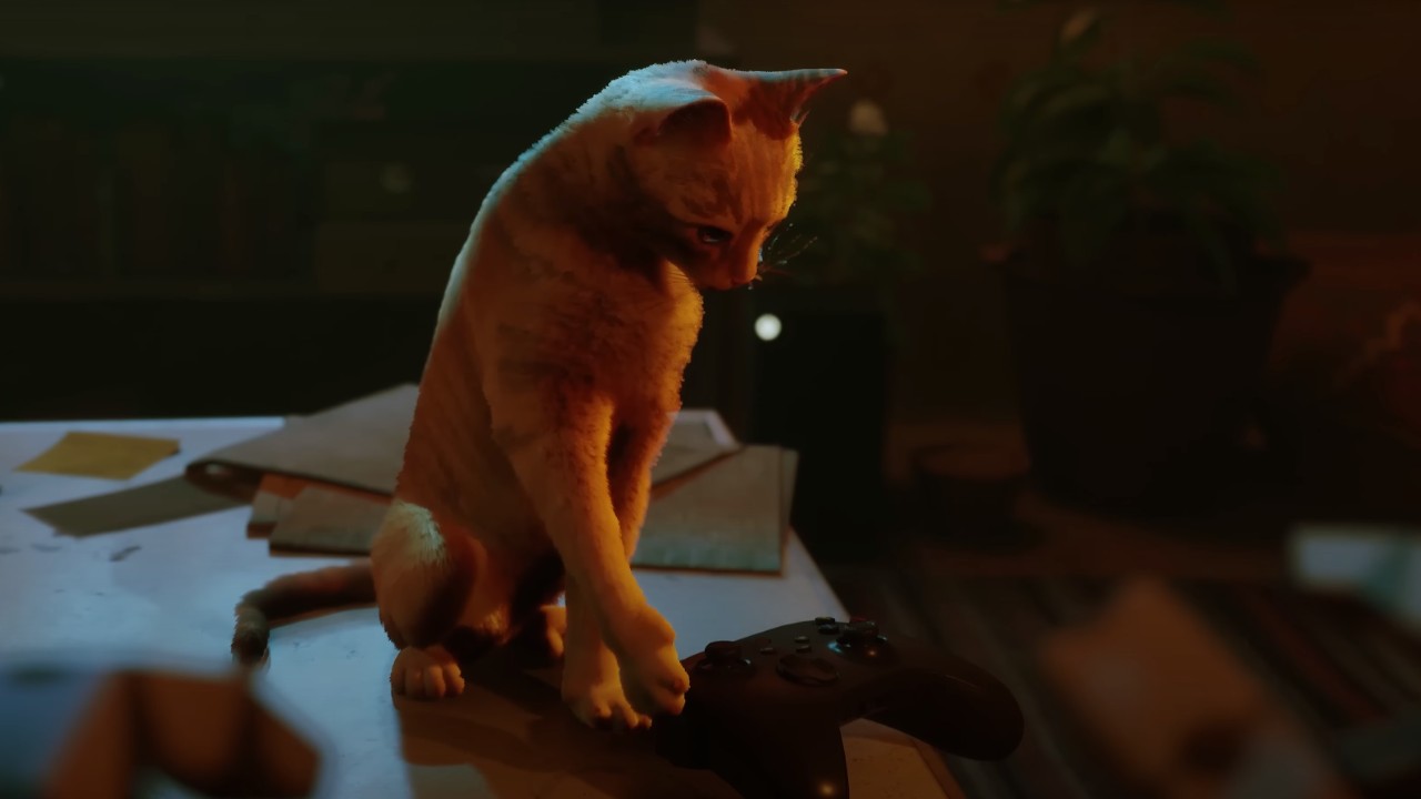 Фил любит котиков: Stray наконец доступна на консолях Xbox Фил любит котиков: Stray наконец доступна на консолях Xbox