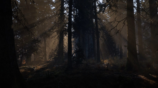 Впечатляющий лес на Unreal Engine 5 уже можно скачать