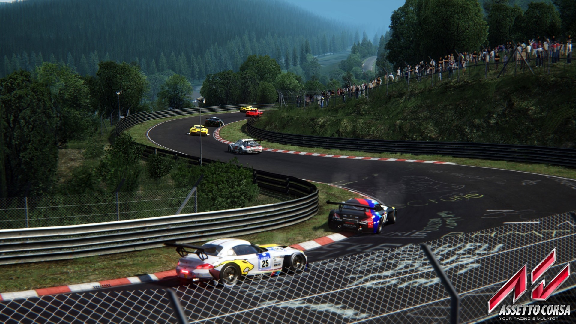 Моды на ассето корса. Нюрбургринг ассетто Корса. Игра Assetto Corsa. Assetto Corsa гонки. Assetto Corsa на ПС.
