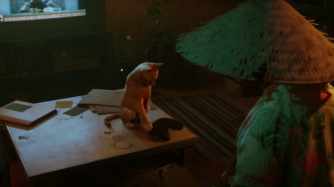 Котик из Stray доберется до консолей Xbox 10 августа Котик из Stray доберется до консолей Xbox 10 августа