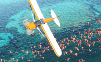 Microsoft Flight Simulator получила высокие оценки прессы