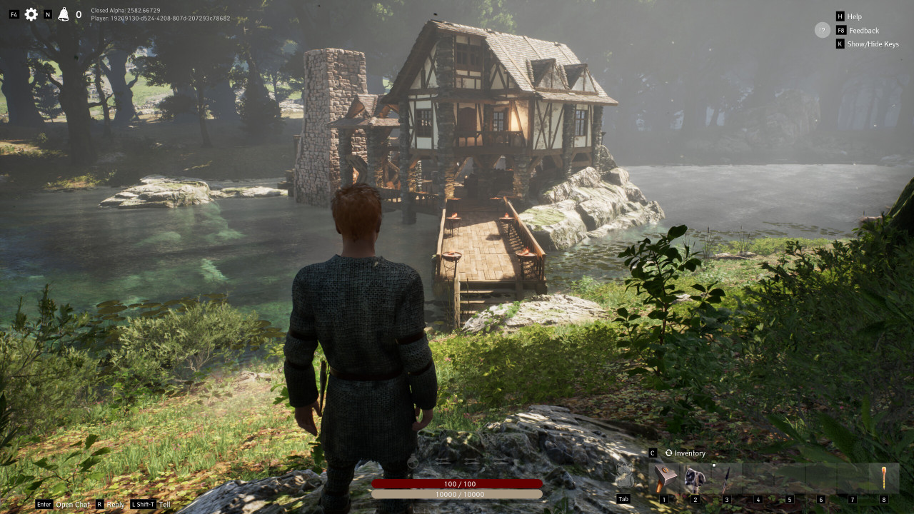    MMORPG Pax Dei