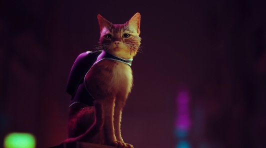 Разработчики Stray все еще планируют выпустить игру про бродячего котика в 2022