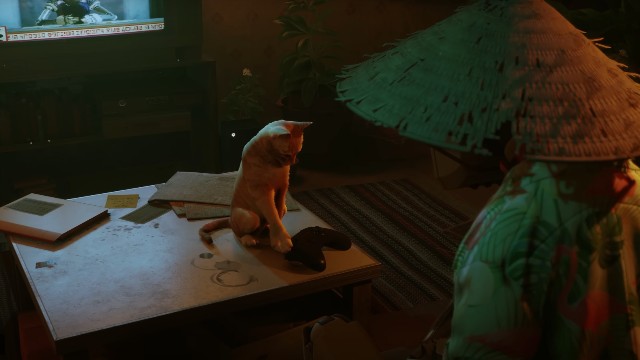 Котик из Stray доберется до консолей Xbox 10 августа