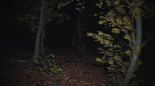 Хоррор с жутко реалистичным лесом Paranormal Tales разрабатывает всего два человека
