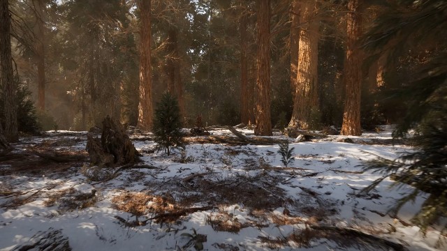 Красивое демо Unreal Engine 5.1 на примере леса с Nanite и Lumen