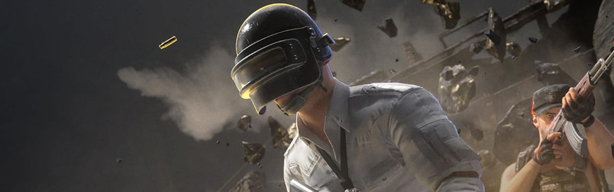можно ли играть в pubg с ботами