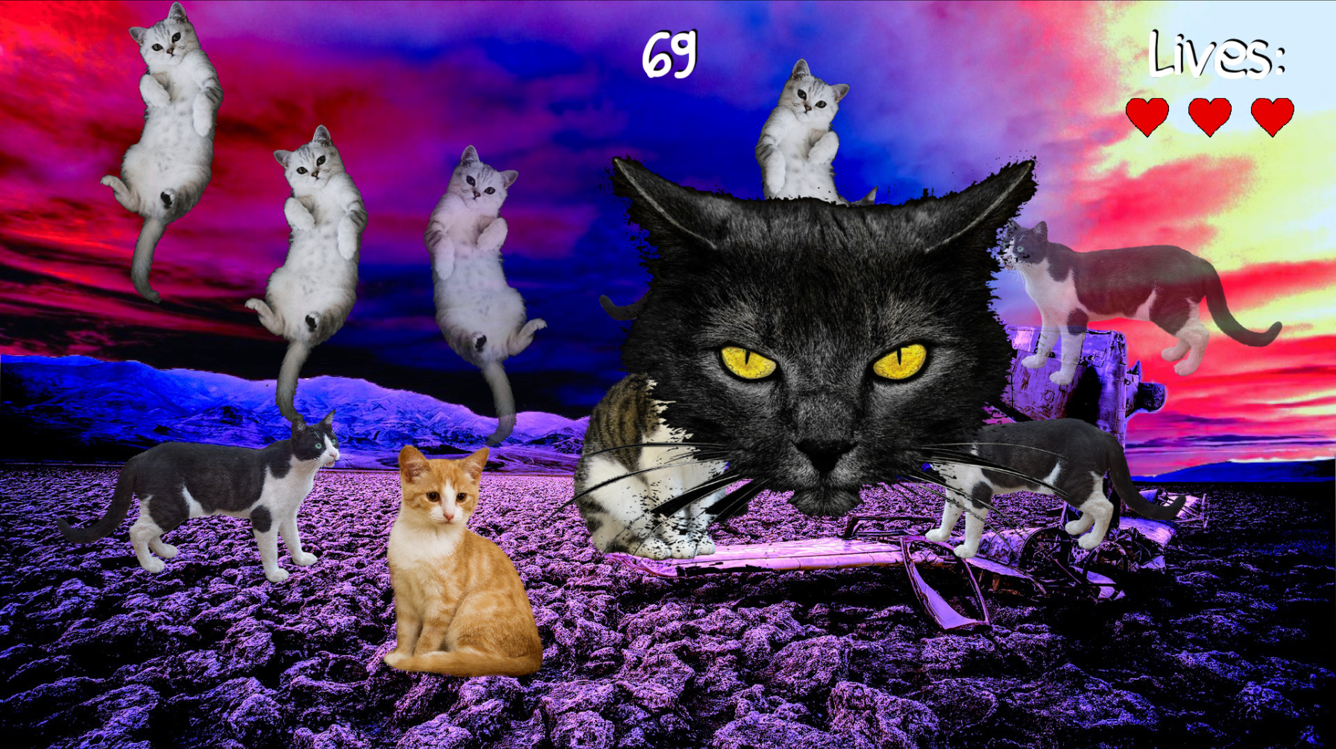 Clicks cats. Cat Clicker. Ever seen a Cat? Игра обложка. Белый кот в игре Sunset Corporation