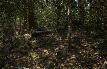 Демонстрация возможностей Unreal Engine 5 на примере густого леса