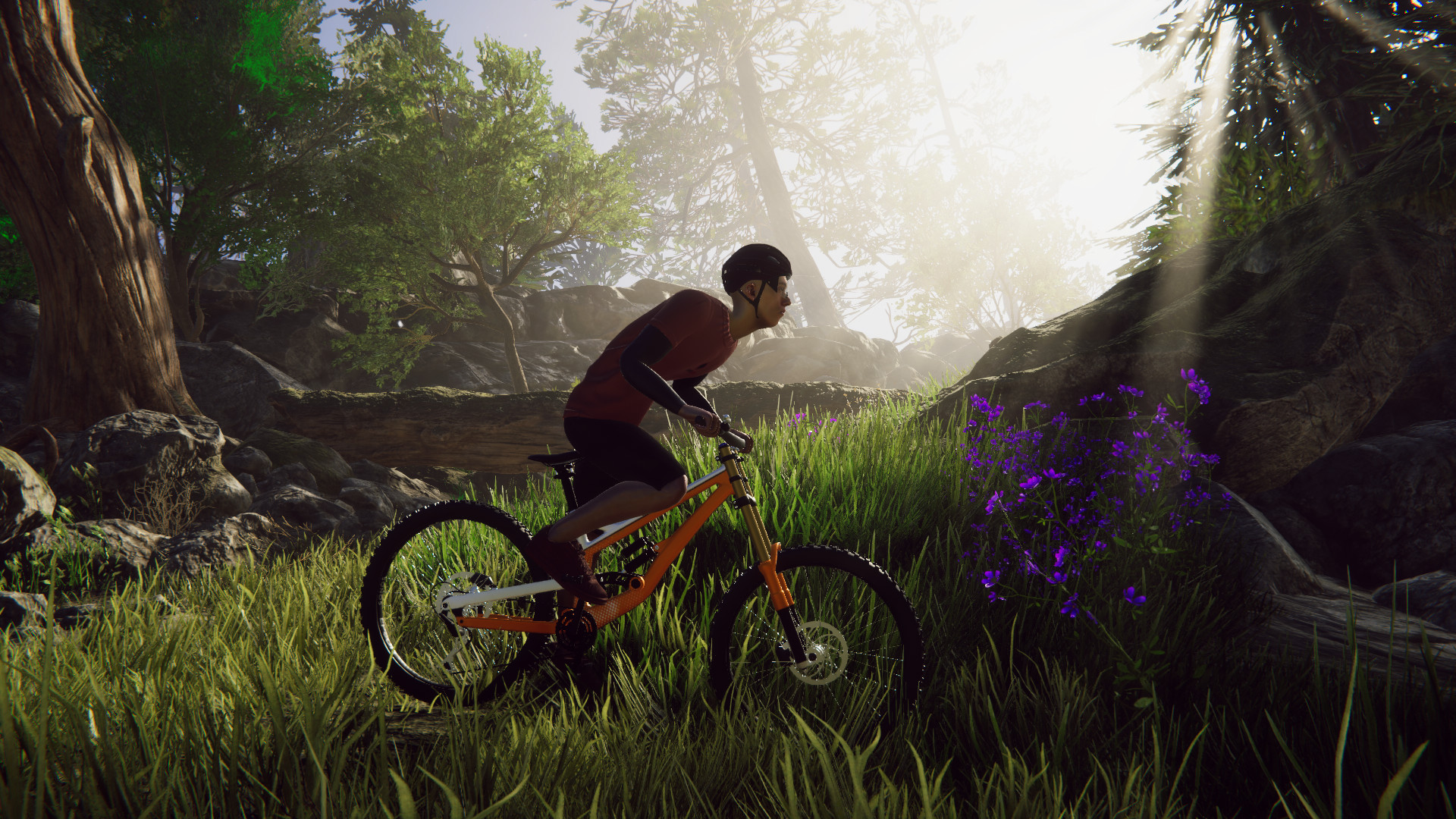 3s cgi Bicycle