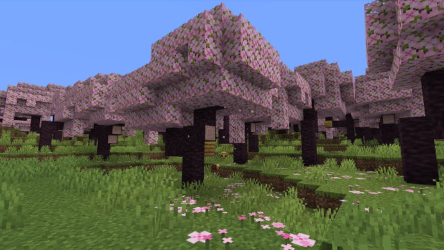 В Minecraft появится новый биом с цветущей сакурой