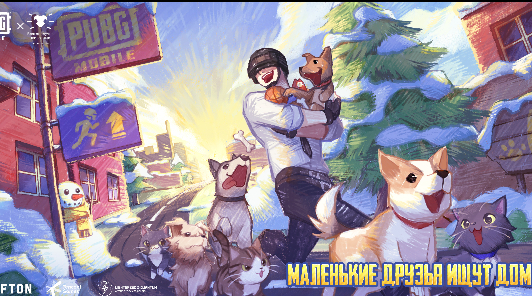 PUBG MOBILE помогает найти новый дом для животных